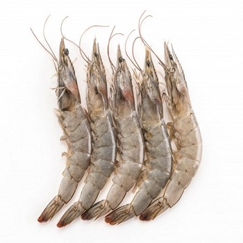 Shrimp (Isso) 1lb. Shipping Only Available on GTHA area