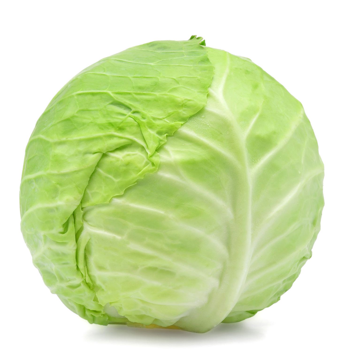 Cabbage Each Shipping Only Available on GTHA area