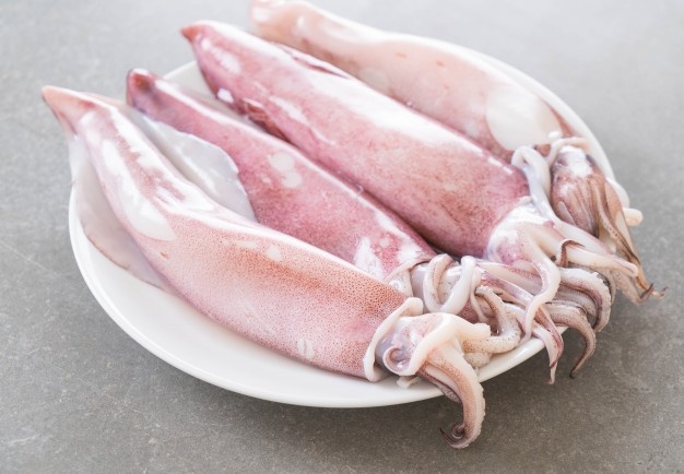 Cuttlefish (Dallo) 1lb. Shipping Only Available on GTHA area