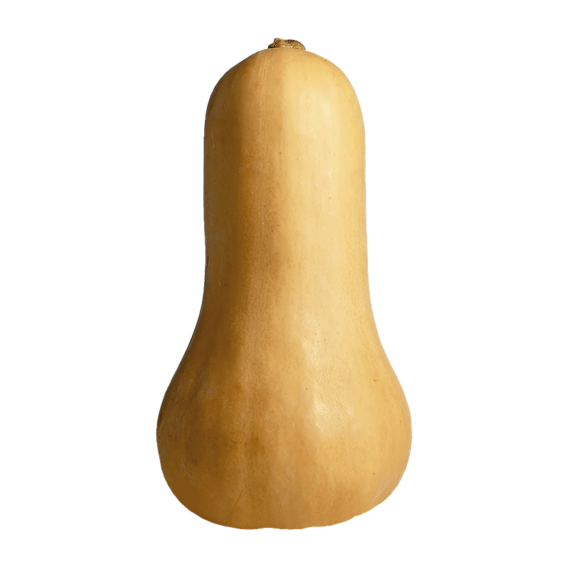 Butternut Squash each Shipping Only Available on GTHA area