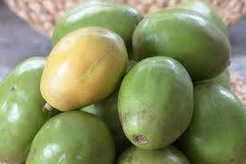June Plum 1lb. Shipping Only Available on GTHA area